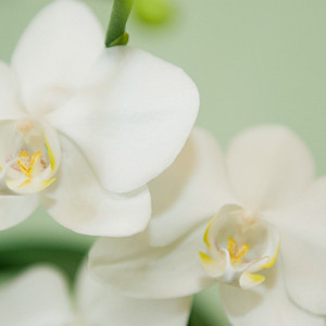 kunz³ - Konzepte für Räume, Home Staging und Raumgestaltung, Reilingen